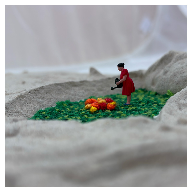 Early-morning-garden-detail2